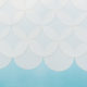 SOFC Substrates – How to Choose the Right One